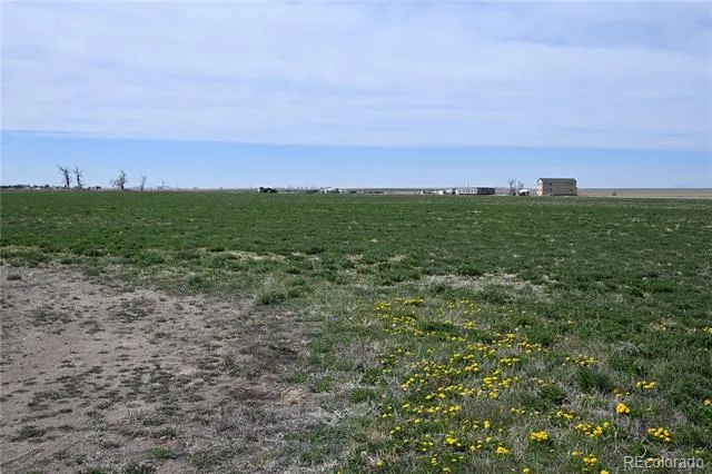 13955 Lanewood Street Brighton, CO 80603