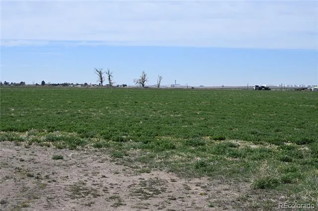 13955 Lanewood Street Brighton, CO 80603