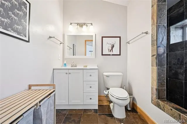 1499 Sheep Ridge Road Fairplay, CO 80440