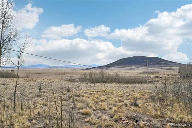 1499 Sheep Ridge Road Fairplay, CO 80440