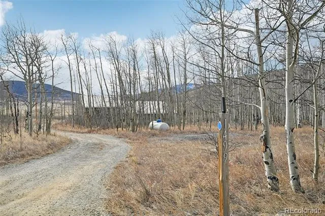 1499 Sheep Ridge Road Fairplay, CO 80440