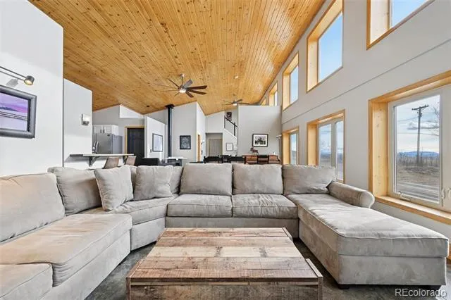 1499 Sheep Ridge Road Fairplay, CO 80440