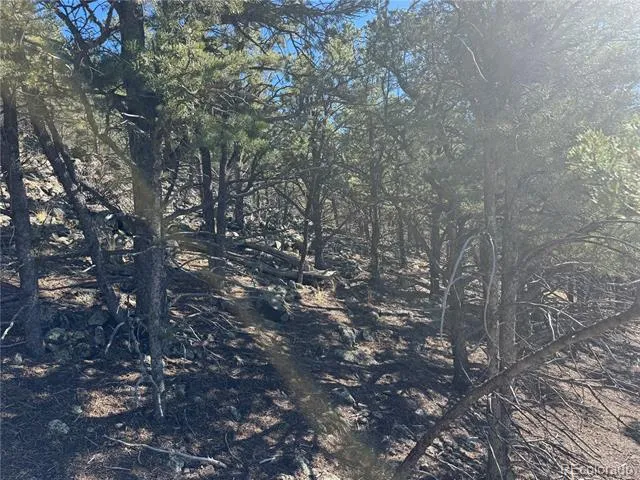 0 G Path Cotopaxi, CO 81223