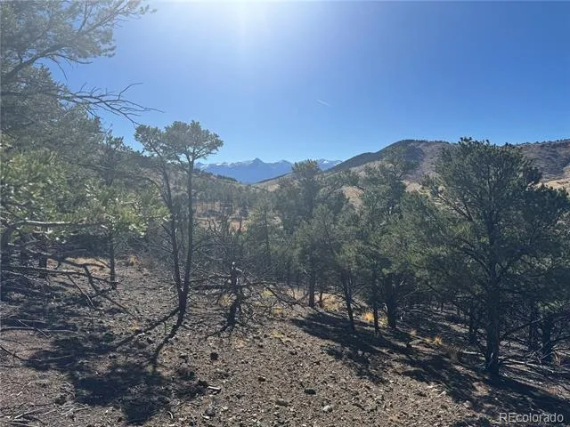 0 G Path Cotopaxi, CO 81223