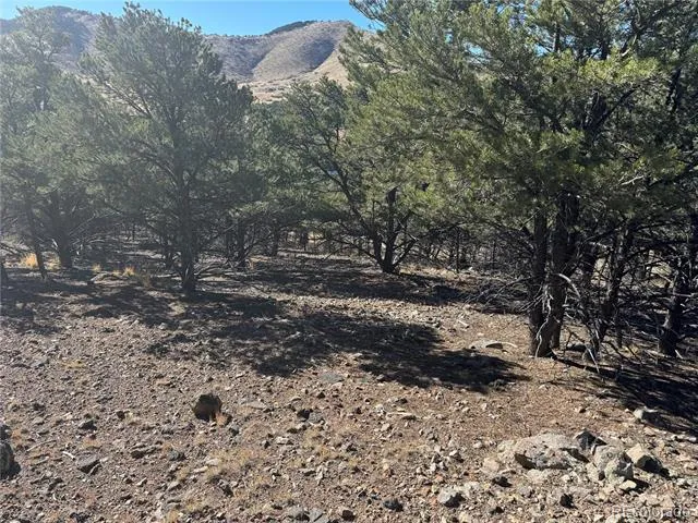 0 G Path Cotopaxi, CO 81223