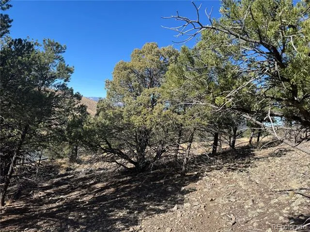0 G Path Cotopaxi, CO 81223