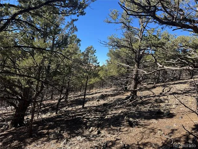0 G Path Cotopaxi, CO 81223