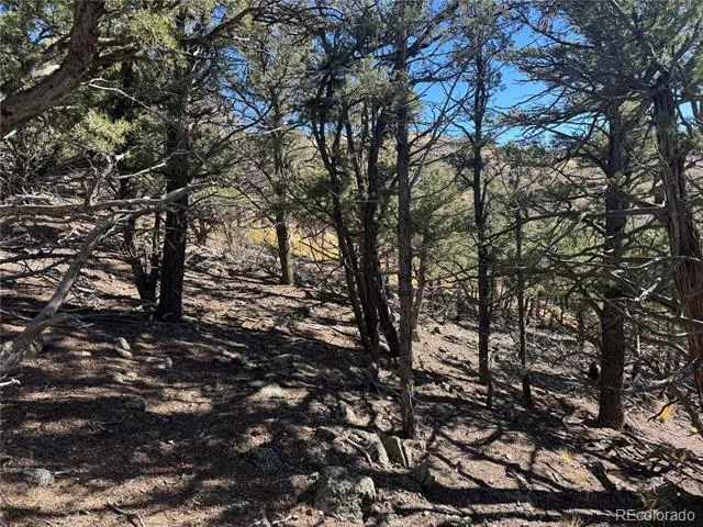 0 G Path Cotopaxi, CO 81223