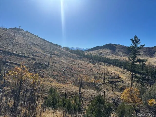 0 G Path Cotopaxi, CO 81223