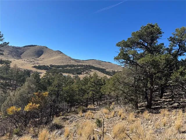 0 G Path Cotopaxi, CO 81223