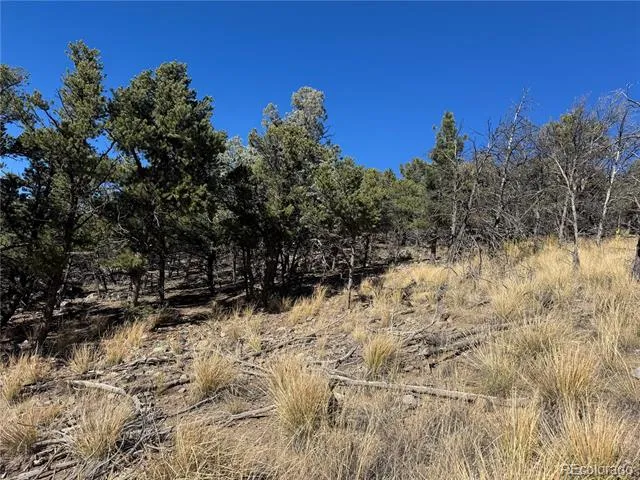 0 G Path Cotopaxi, CO 81223