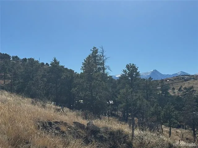 0 G Path Cotopaxi, CO 81223