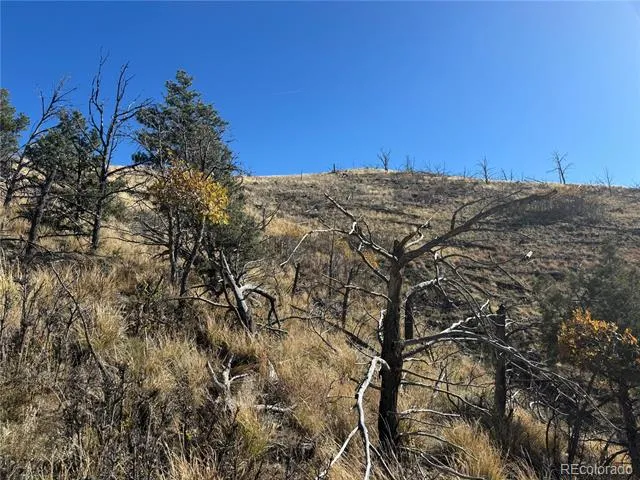 0 G Path Cotopaxi, CO 81223