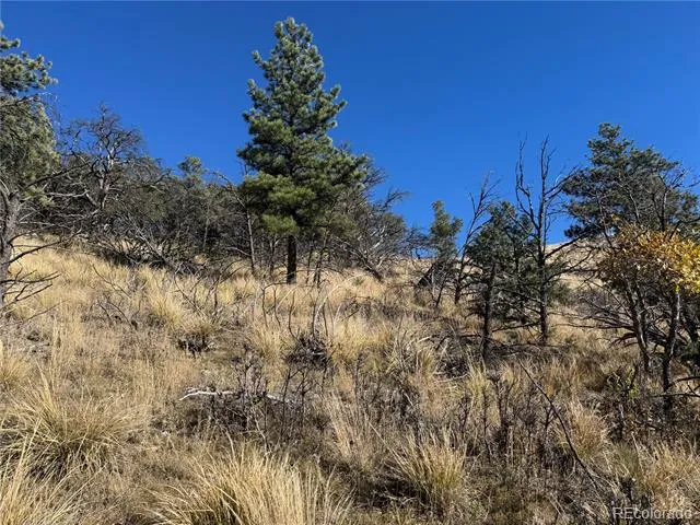 0 G Path Cotopaxi, CO 81223