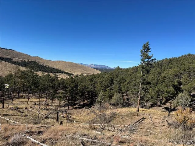 0 G Path Cotopaxi, CO 81223