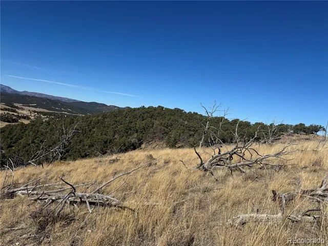 0 G Path Cotopaxi, CO 81223