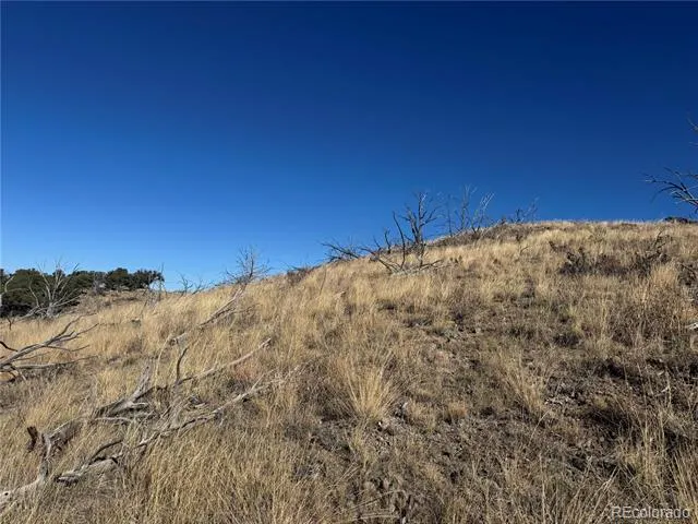 0 G Path Cotopaxi, CO 81223