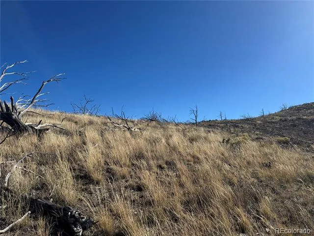 0 G Path Cotopaxi, CO 81223
