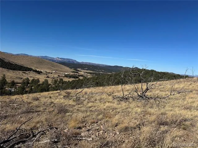 0 G Path Cotopaxi, CO 81223