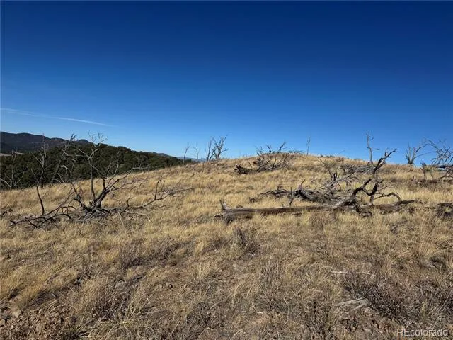 0 G Path Cotopaxi, CO 81223