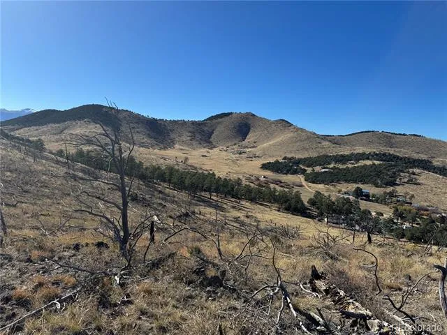 0 G Path Cotopaxi, CO 81223