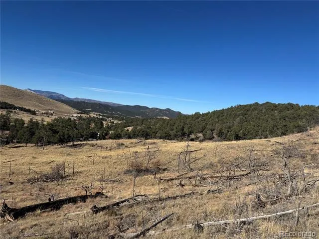 0 G Path Cotopaxi, CO 81223