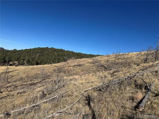 0 G Path Cotopaxi, CO 81223