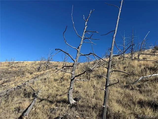 0 G Path Cotopaxi, CO 81223