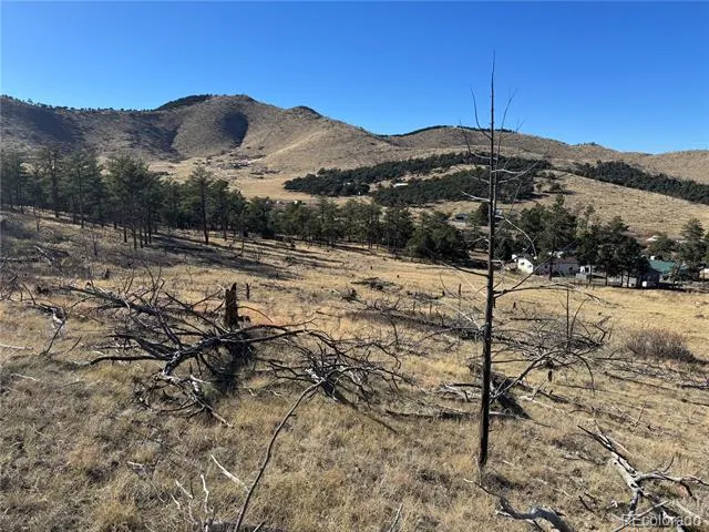 0 G Path Cotopaxi, CO 81223