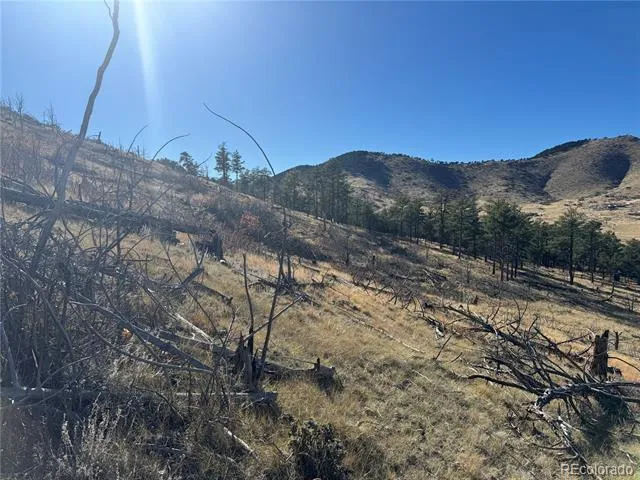 0 G Path Cotopaxi, CO 81223