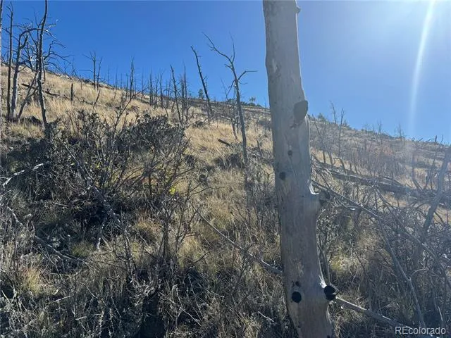0 G Path Cotopaxi, CO 81223