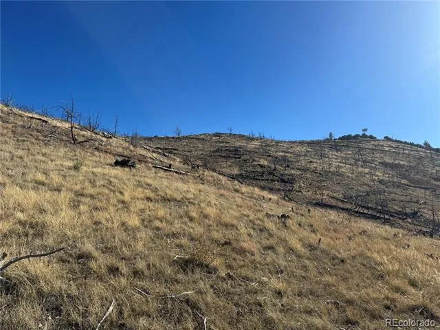 0 G Path Cotopaxi, CO 81223
