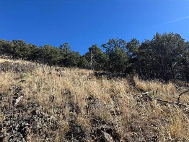 0 G Path Cotopaxi, CO 81223