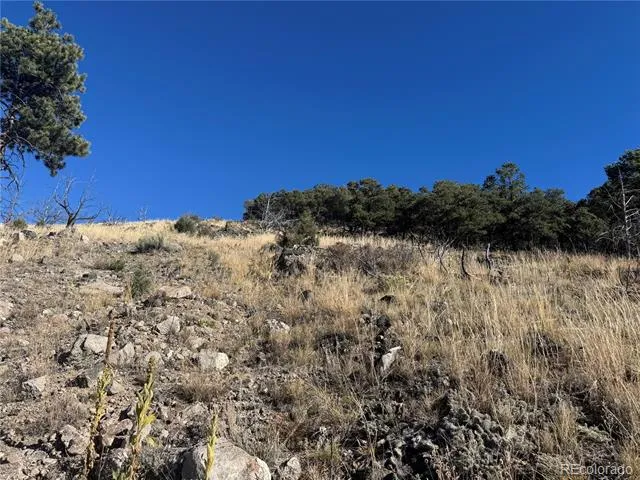 0 G Path Cotopaxi, CO 81223