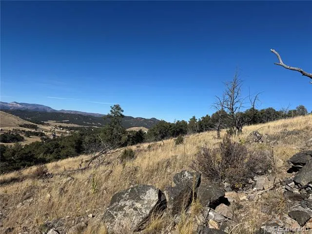 0 G Path Cotopaxi, CO 81223