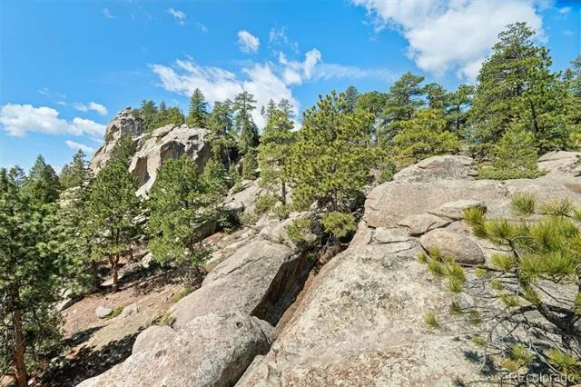 6351 Canyon Creek Road Evergreen, CO 80439
