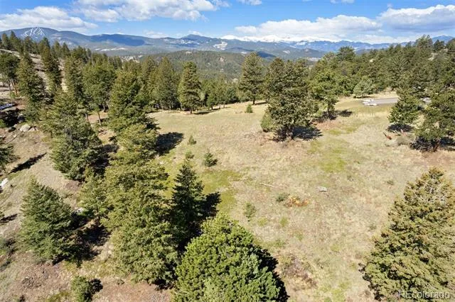 6351 Canyon Creek Road Evergreen, CO 80439
