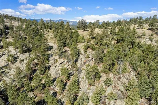 6351 Canyon Creek Road Evergreen, CO 80439