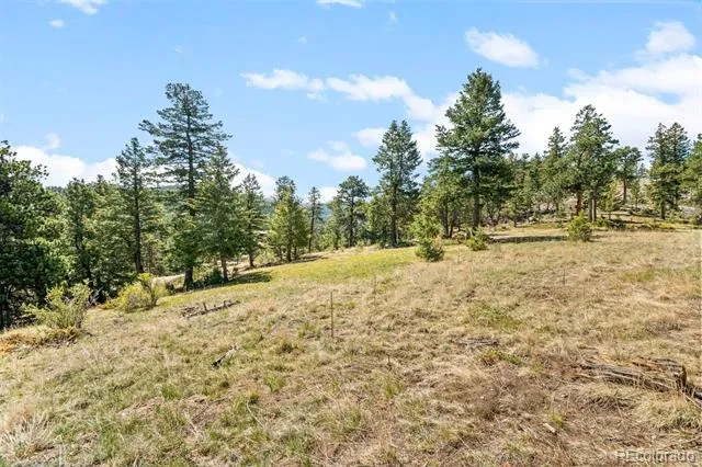 6351 Canyon Creek Road Evergreen, CO 80439