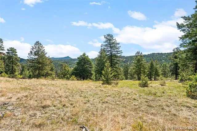6351 Canyon Creek Road Evergreen, CO 80439