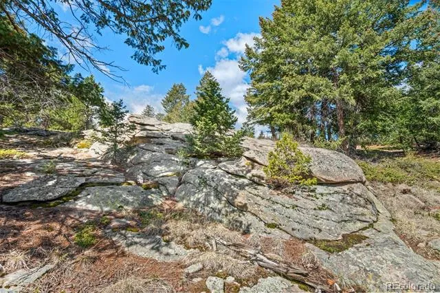 6351 Canyon Creek Road Evergreen, CO 80439