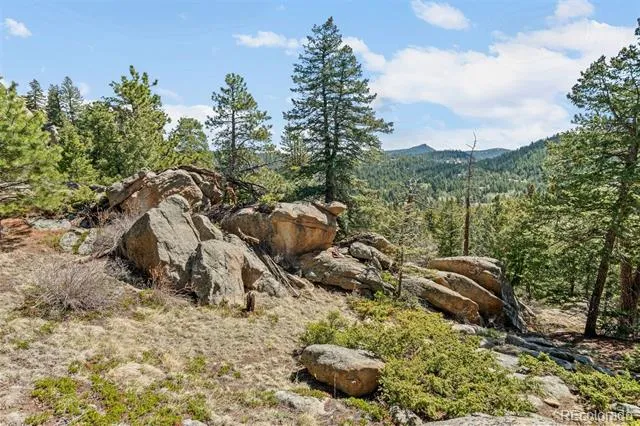 6351 Canyon Creek Road Evergreen, CO 80439