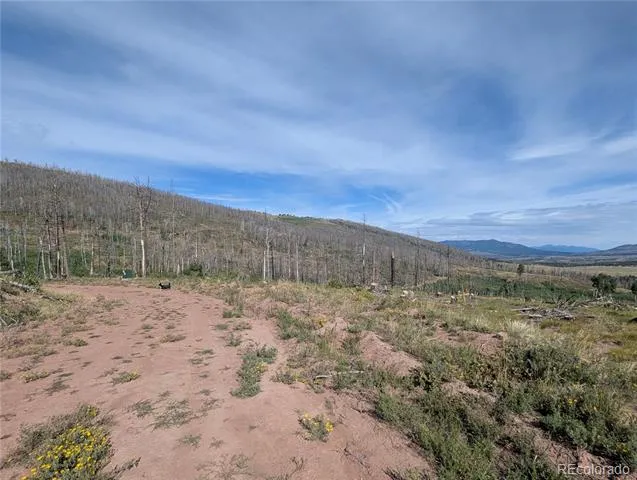 910 Ueda Place Fort Garland, CO 81133