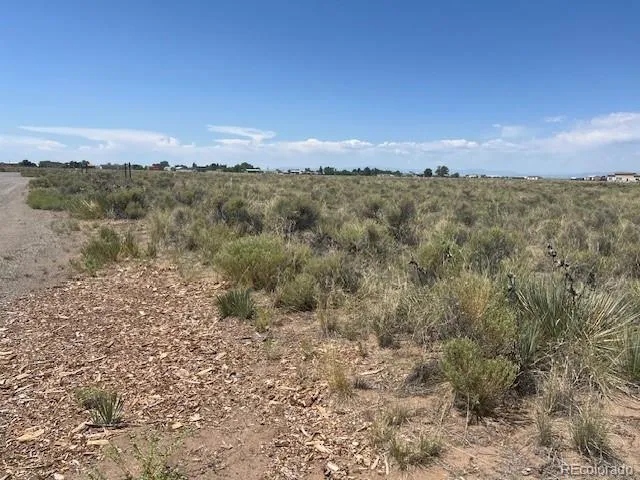 80 Iberia Court Moffat, CO 81143