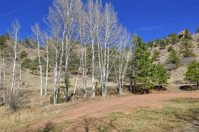221 Floresta Florissant, CO 80816
