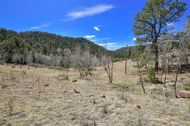 221 Floresta Florissant, CO 80816