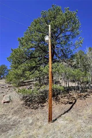 221 Floresta Florissant, CO 80816