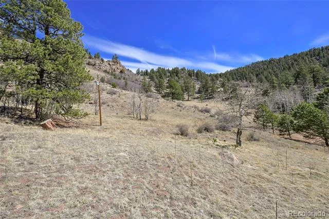 221 Floresta Florissant, CO 80816