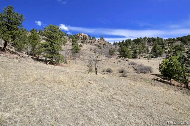 221 Floresta Florissant, CO 80816