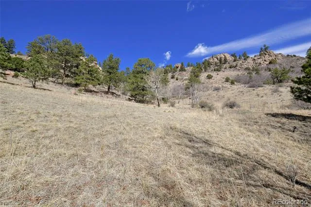 221 Floresta Florissant, CO 80816
